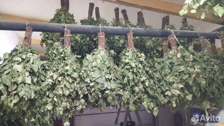 Веники для бани