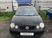 Volkswagen Polo 1.2 MT, 2002, 236 825 км с пробегом, цена 230000 руб.