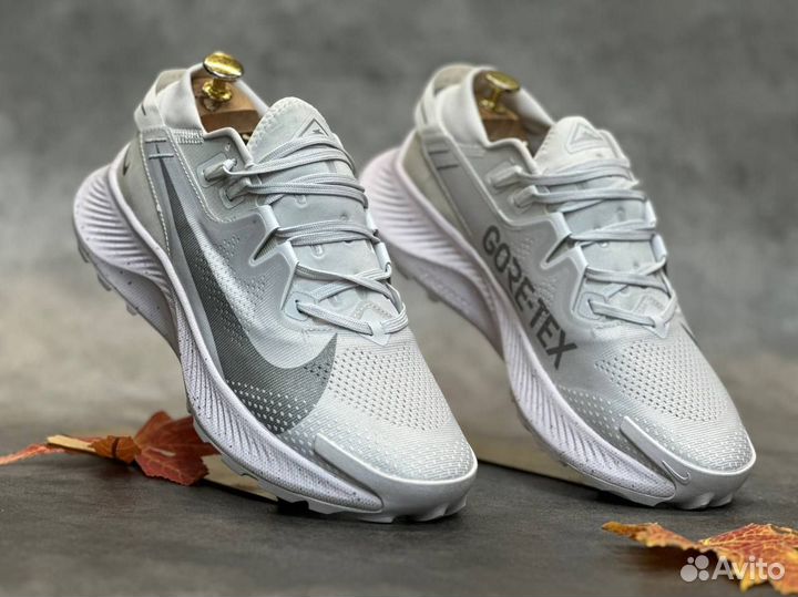 Nike pegasus traill 2 (45)