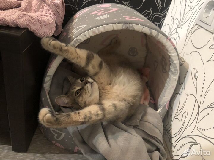 В самые заботливые добрые любящие руки