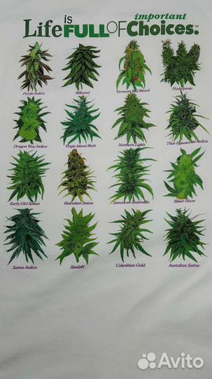 Футболка Шишки