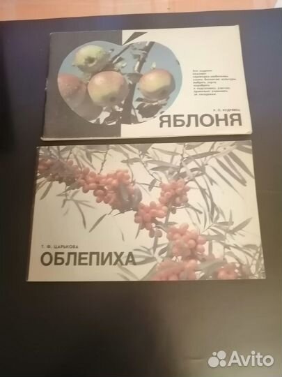 Книги-брошюры Плодово-ягодн.культуры.Малина,Яблоня