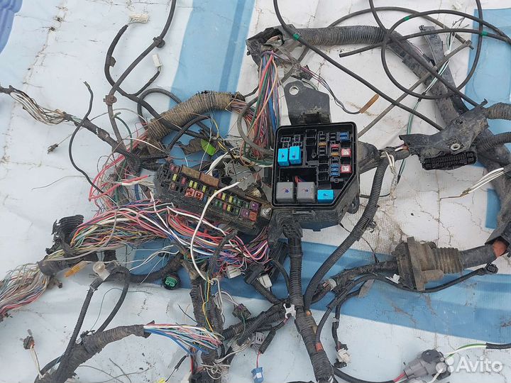 Toyota Rav4 XA50 Проводка моторного отсека