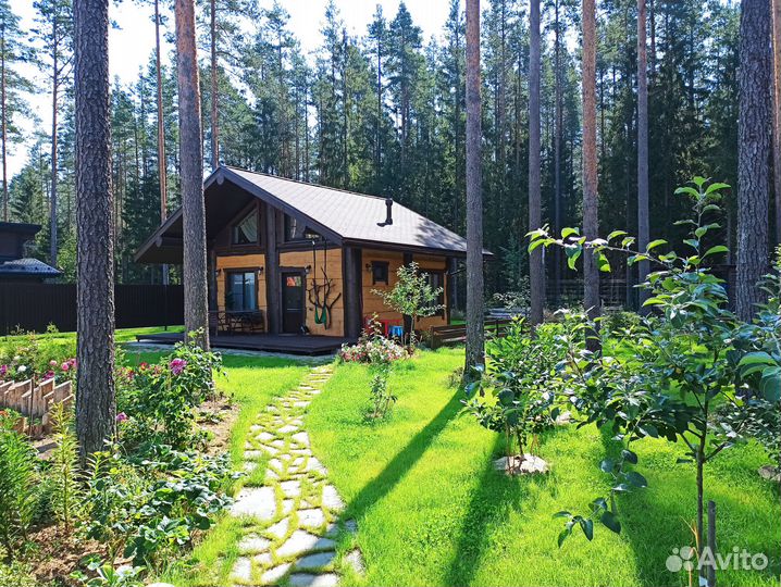 Аренда дома и бани на участке с соснами