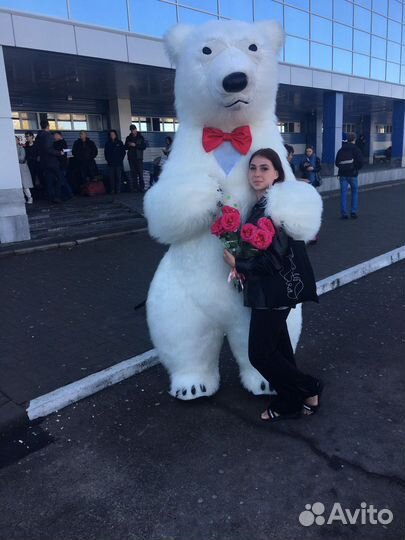 Поздравление от Белого Медведя. Аниматор