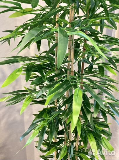 Искусственное дерево Бамбук