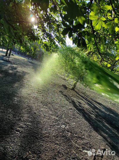 Гидропосев газона.Жидкий газон. Семена газонных тр