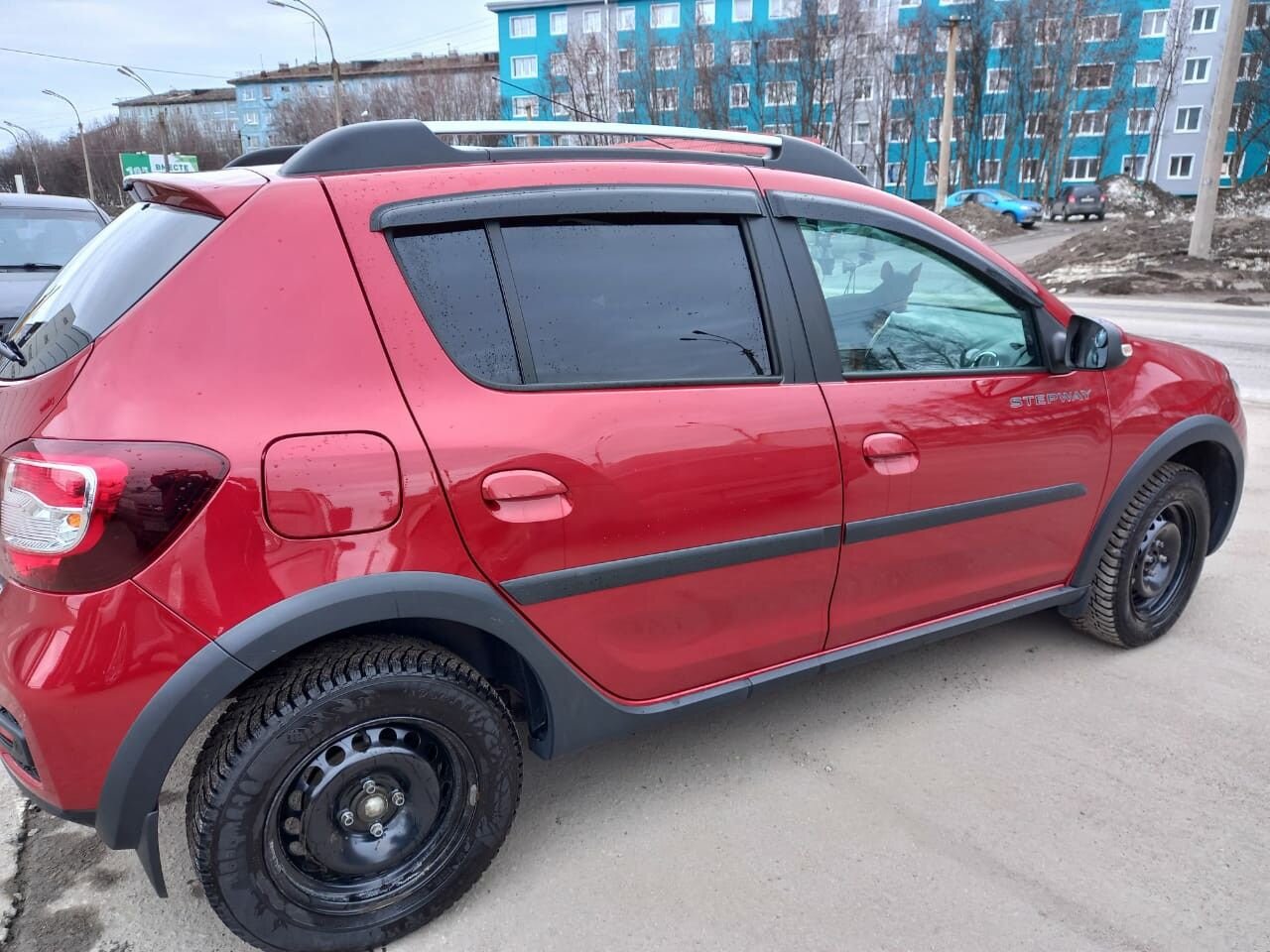 Renault Sandero Stepway: фото владельца