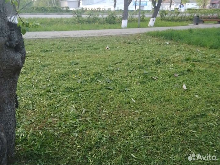 Покос травы