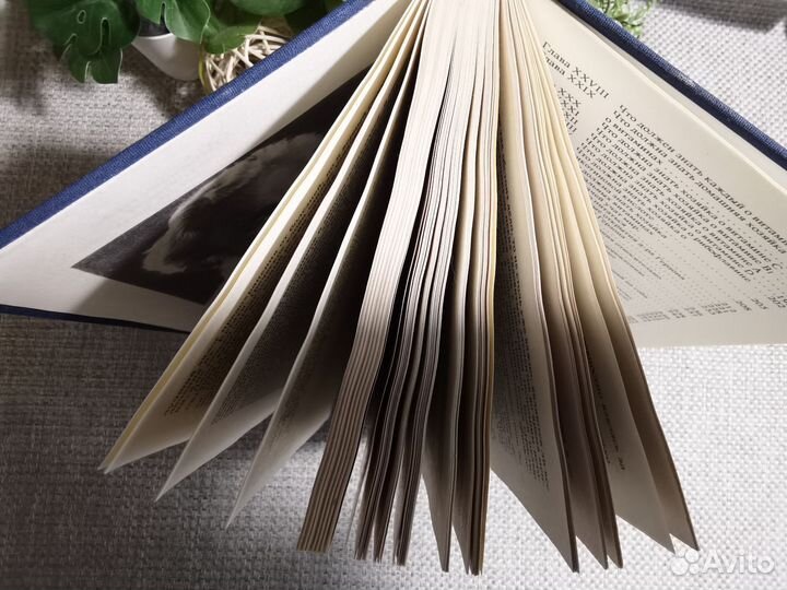 Книга о здоровье и долголетии. Михаил Горен