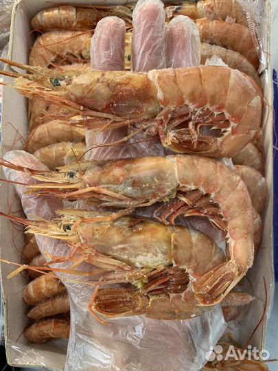 Лангустины L2