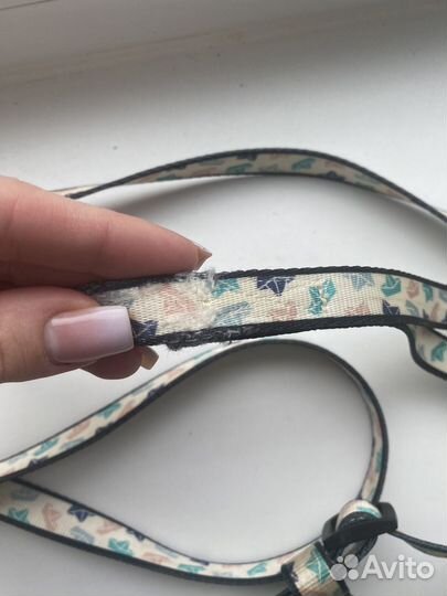 Шлейка и поводок