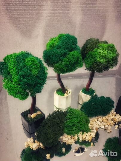 Декоративное дерево со мхом. Топиарий