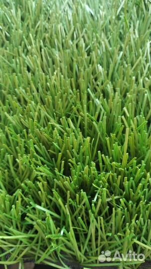 Футбольная трава