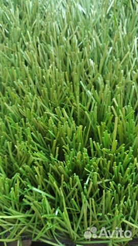 Футбольная трава