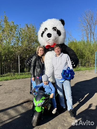 Аниматоры на день рождения мишки