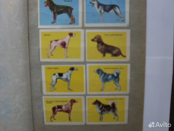 3 набора спичечных этикеток