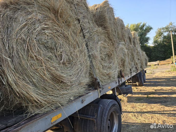 Сено. Доставка