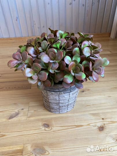 Искусственные цветы в горшках