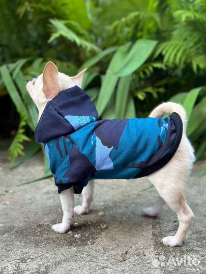 Футболка для собак