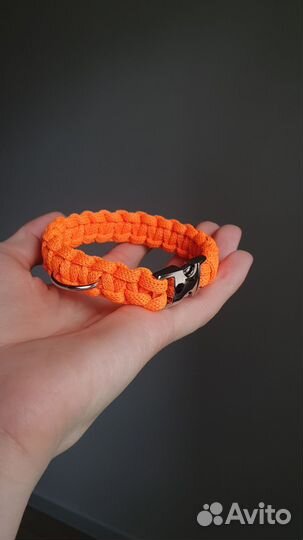 Ошейники для собак мелких пород