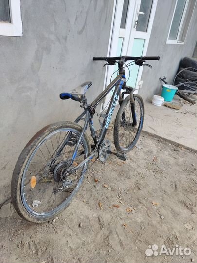 Велосипед Berkut