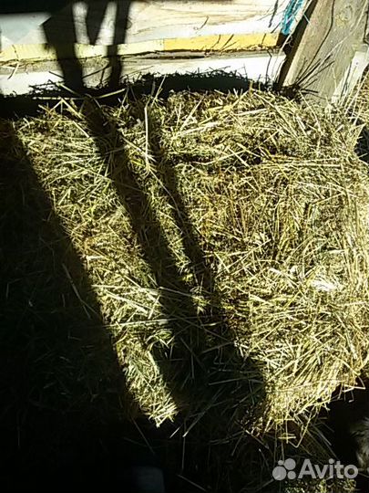 Сено в мешках