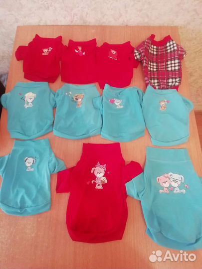 Одежда для собак