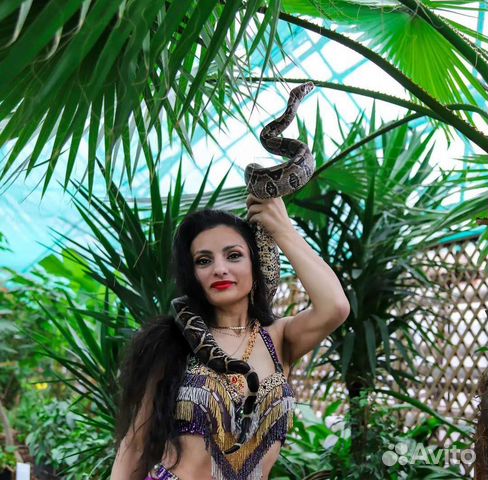 Фотосессия со змеёй, аренда экзотических животных