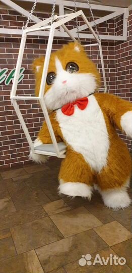 Белый Мишка, Рыжий Котик, Зайка