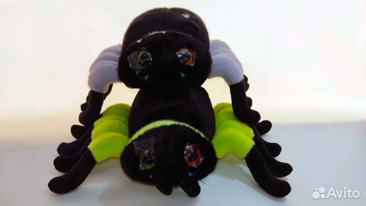 Прикольный паук улыбается