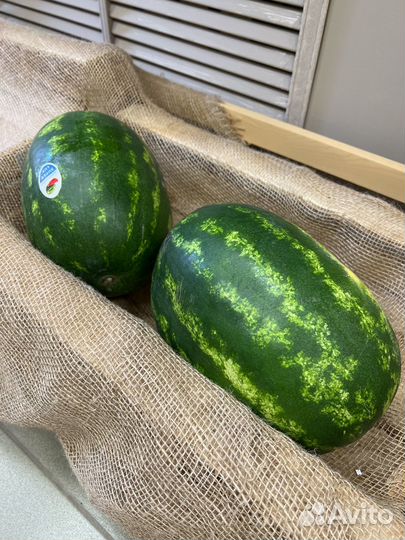 Арбузы Иран