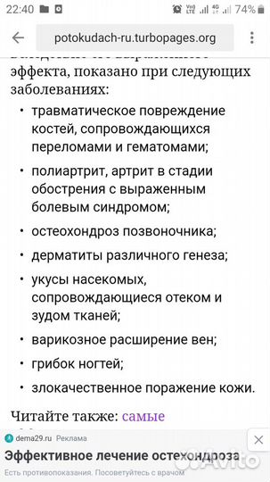 Индийский лук