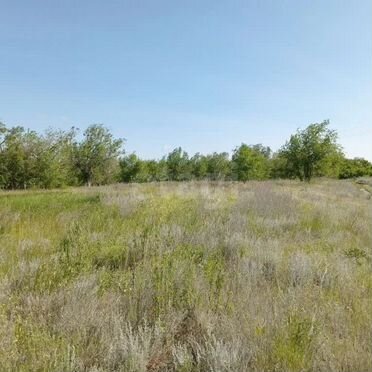 Участок 16,5 сот. (личное подсобное хозяйство (лпх))