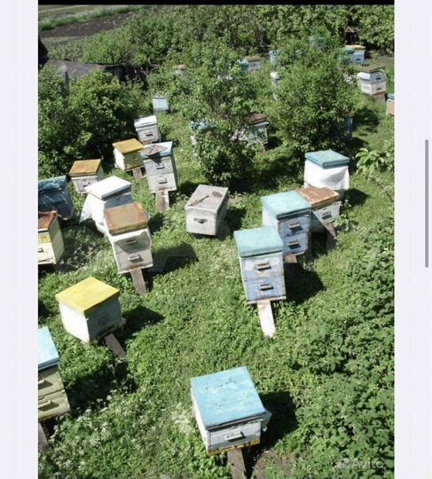 Дом 100 м² на участке 30 сот.