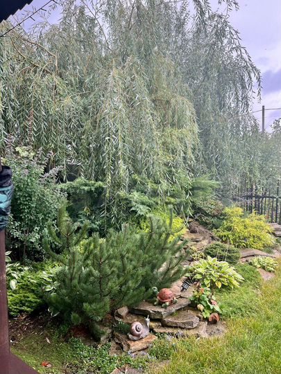 Дом 130 м² на участке 10 сот.