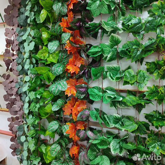 Плющи, ветки, лианы, зелень