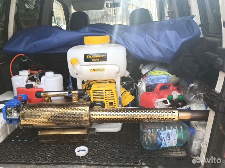 Дезинфекция. сэс. Уничтожение клопов. Грызуны