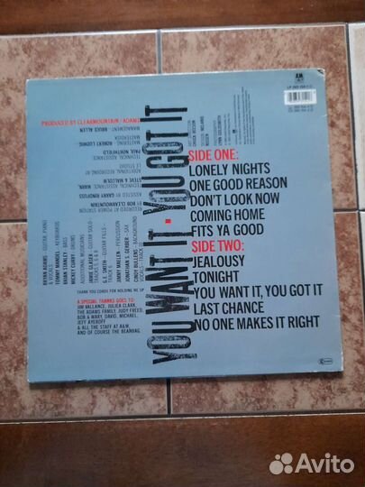 Bryan Adams You Want It, You Got It