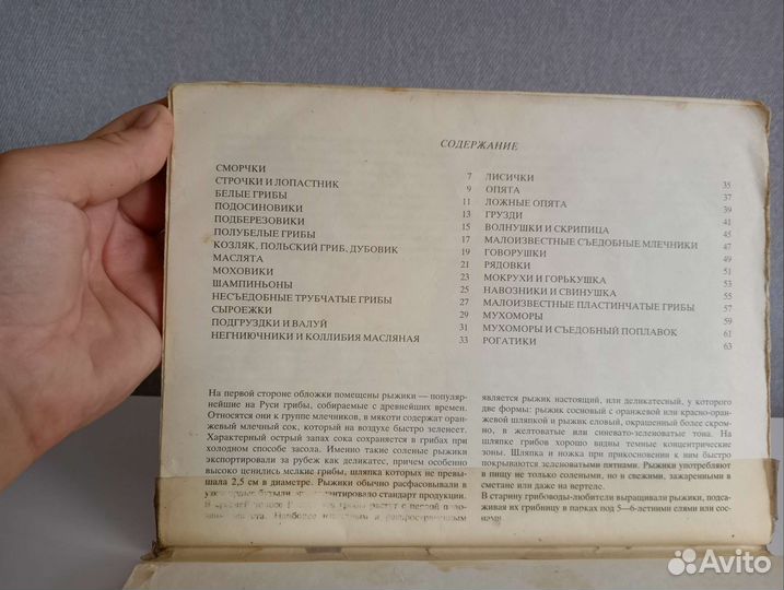 Грибы никиточкина, шипиленко, 1993