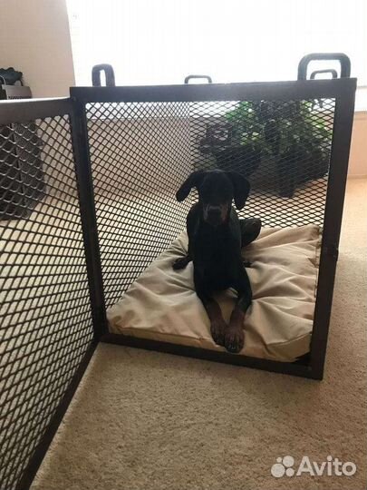 Дома в стиле лофт для собак и кошек