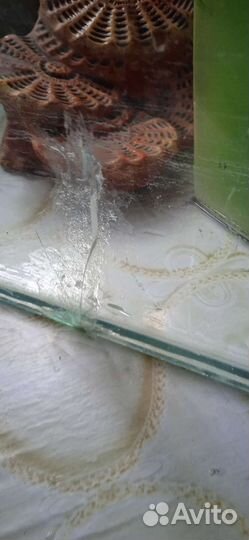 Для черепахи