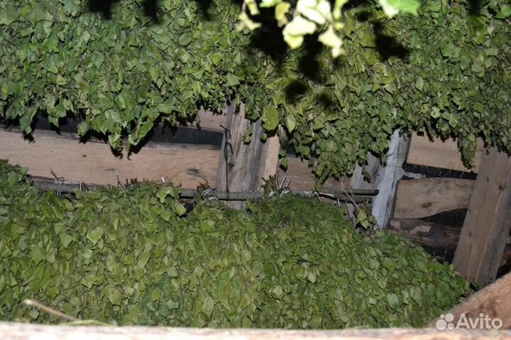 Веники для бани