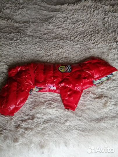 Товары для животных