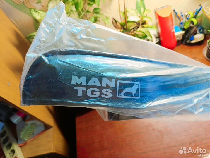 Дефлекторы (ветровики) MAN TGS