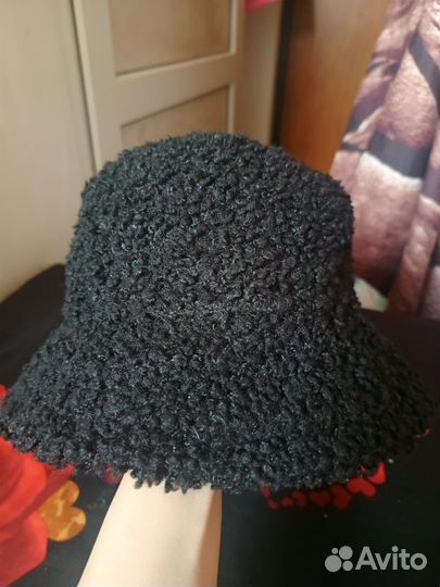 Панама тедди