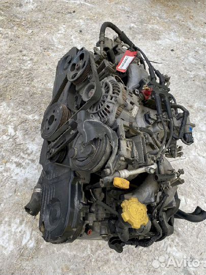 Двигатель EJ251 Subaru 784973