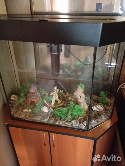 Аквариума комплект