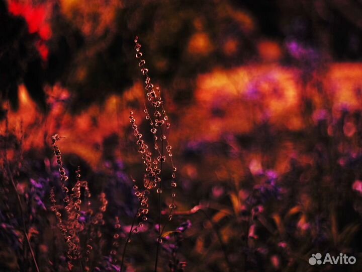 Гелиос 44-2 2/58