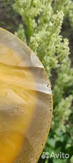 Воск пчелиный